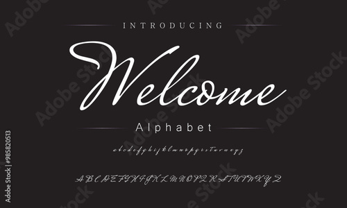 Luxury Handwritten Font for Signature Style