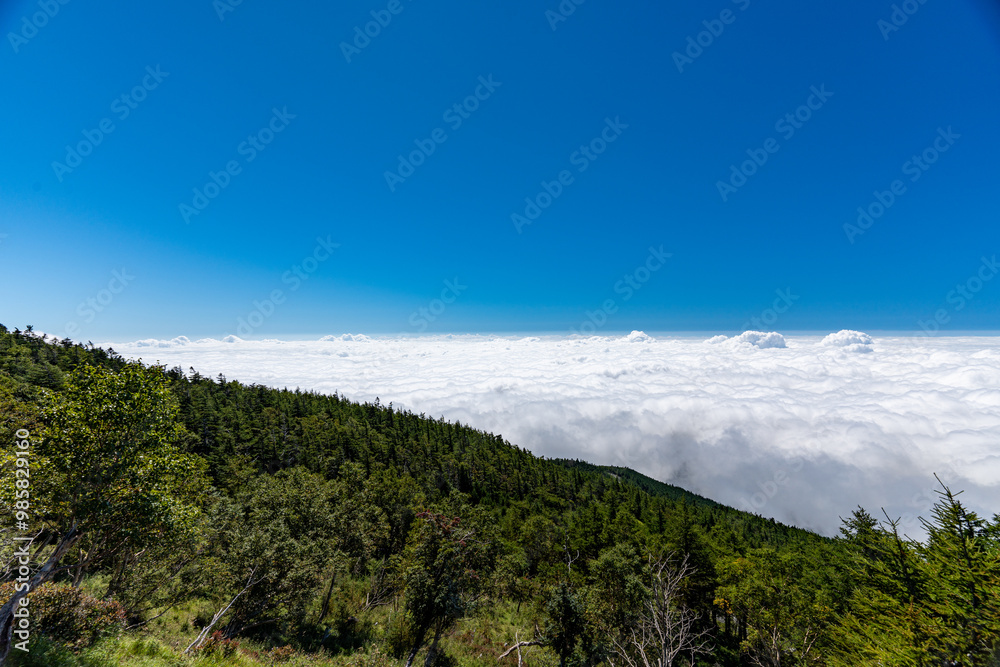 山上からの大雲海 山上からの大雲海