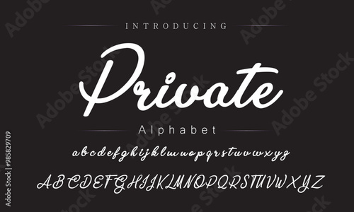 Stylish Signature Script Font for Branding