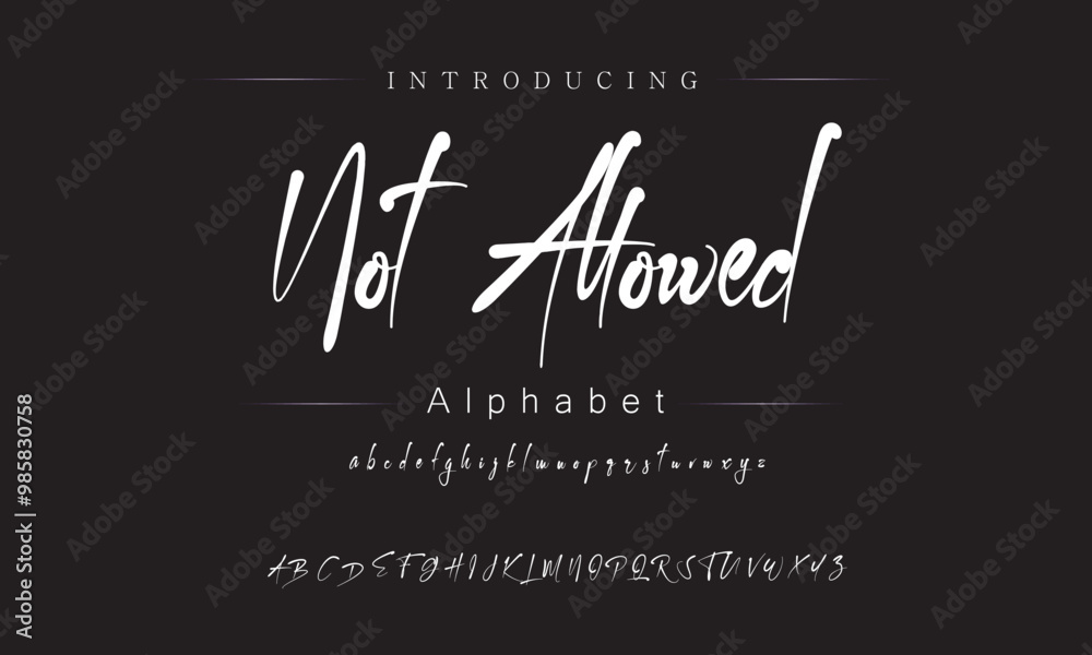 Elegant Signature Font Collection