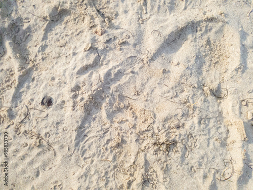 Closeup of sand on the beach.