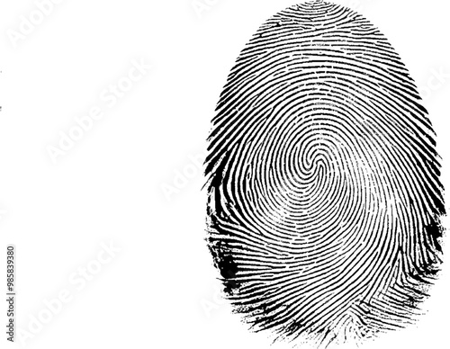 Vector a fingerprint on a white background with finger print design.