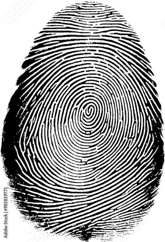 Vector fingerprints Transparent background fingerprint scanning.