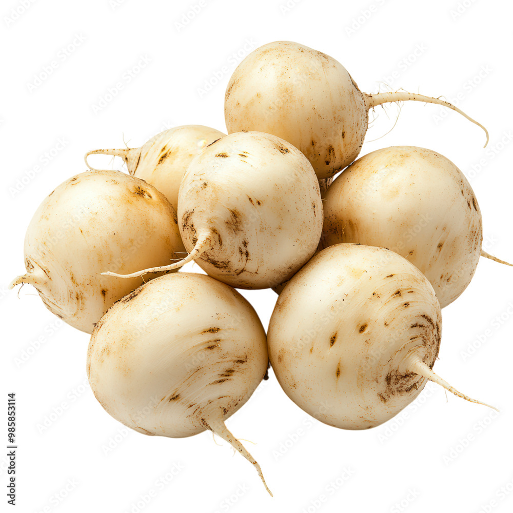Fresh white turnips on a white isolate background. transparent background Fresh white turnips on a white isolate background. transparent background