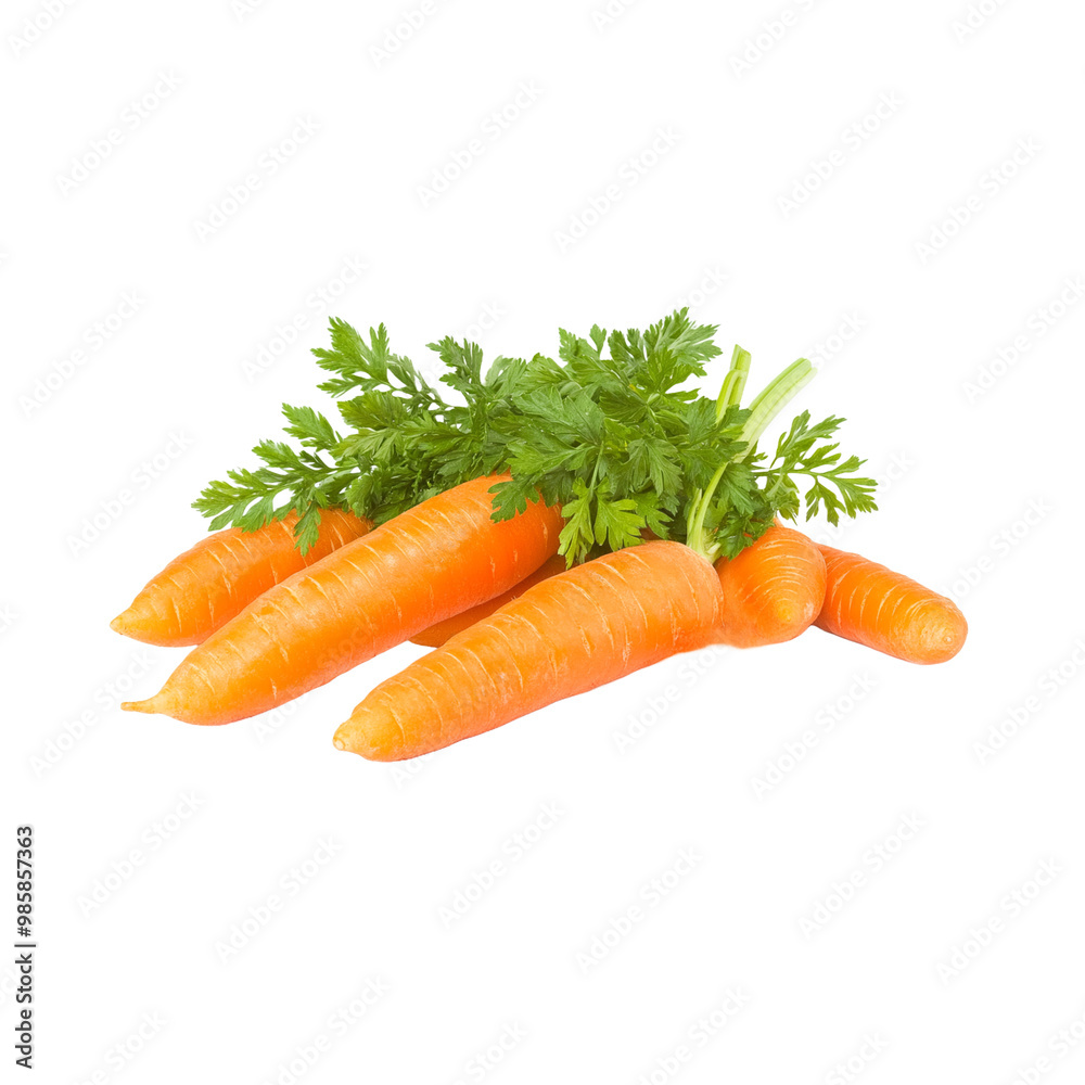 Carrot on isolated background, fresh carrot vegetable, organic fresh healthy Carrot on isolated background, fresh carrot vegetable, organic fresh healthy