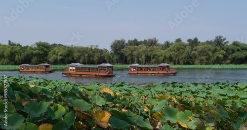 green lotus leaves and tourboat in The Imperial Garden at the Old Summer Palace(Yuanmingyuan), Beijing, China photo