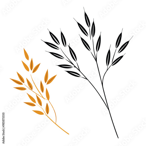 Spikes and grains of oats, vector illustration, isolated white background