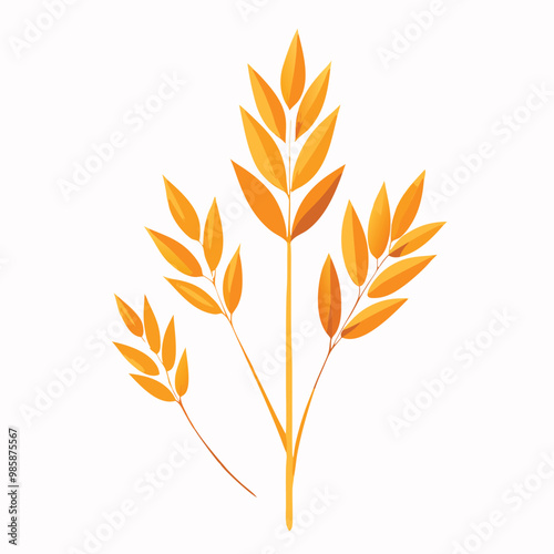 Spikes and grains of oats, vector illustration, isolated white background