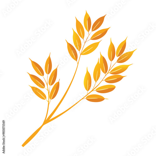 Spikes and grains of oats, vector illustration, isolated white background