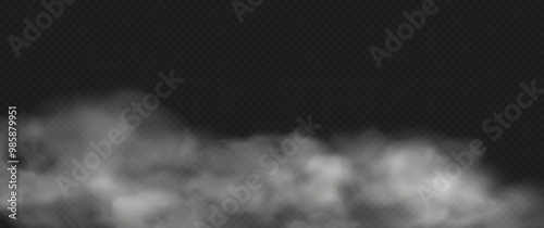 White smoke or fog flow on floor. Large mist in dark room on black background. Smoke on stage studio