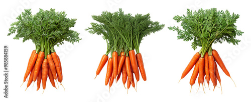 Carrot bunches with vibrant green tops on a transparent background