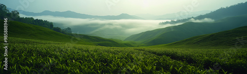 Emerald Valley Dawn: A breathtaking vista of rolling green hills blanketed in morning mist, as the sun gently rises over the distant mountains, casting an ethereal glow over the serene landscape. 