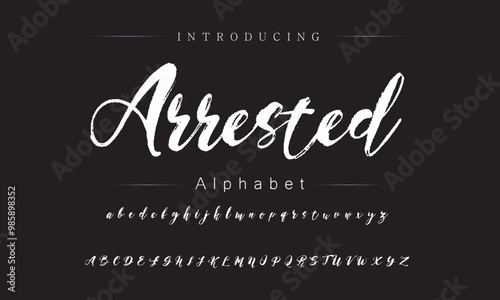 Vibrant Brush Typeface Style