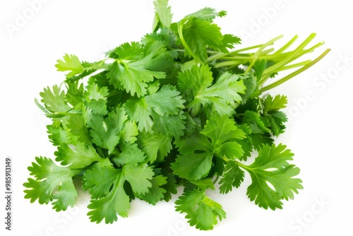 A fresh Cilantro isolated on white