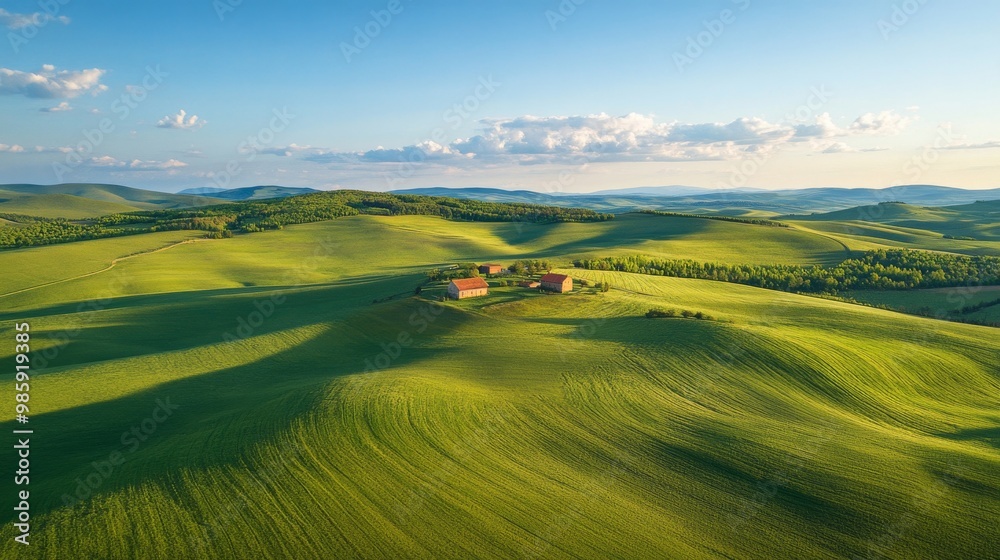 Fototapeta premium landscape green field sunlight beautiful
