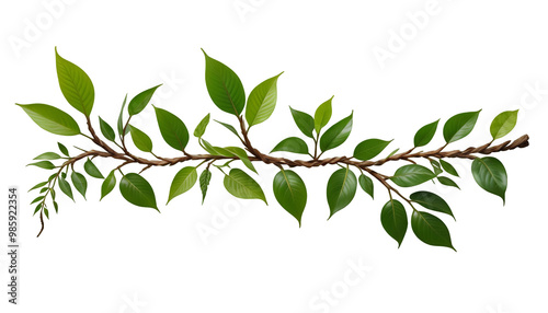  growing background branch jungle plant twisted olated generative ai plant leaf isolated green nature tree branch tree white flower leaf spring fresh growth herb white background foliage twig closeup