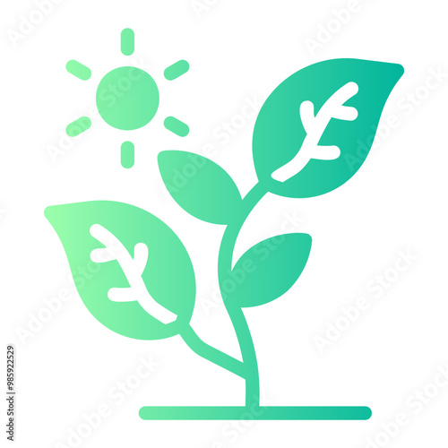 photosynthesis
