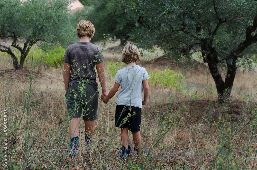 Idilic horizontal photography from behind of two brothers walking holding hands in a olive trees plantation in the countryside of Spain. Happy, healthy, active outside childhood and life concept.