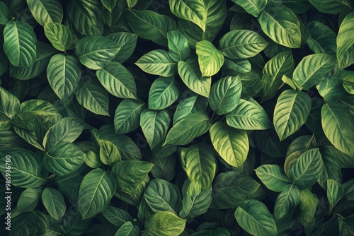 Dense Green Foliage Background