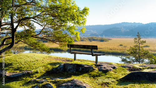 Bench on top of a hill thourgh a hiking trail over looking calm river with glowing trees during early autumn morning, Gothenburg Sweden
