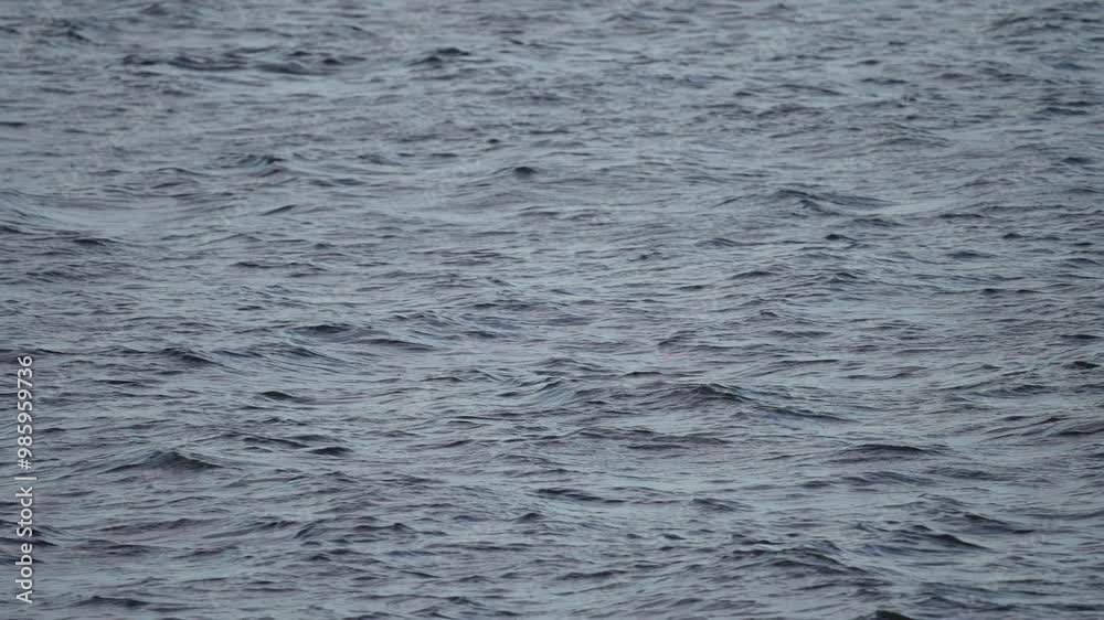 Waves on the sea Waves on the sea