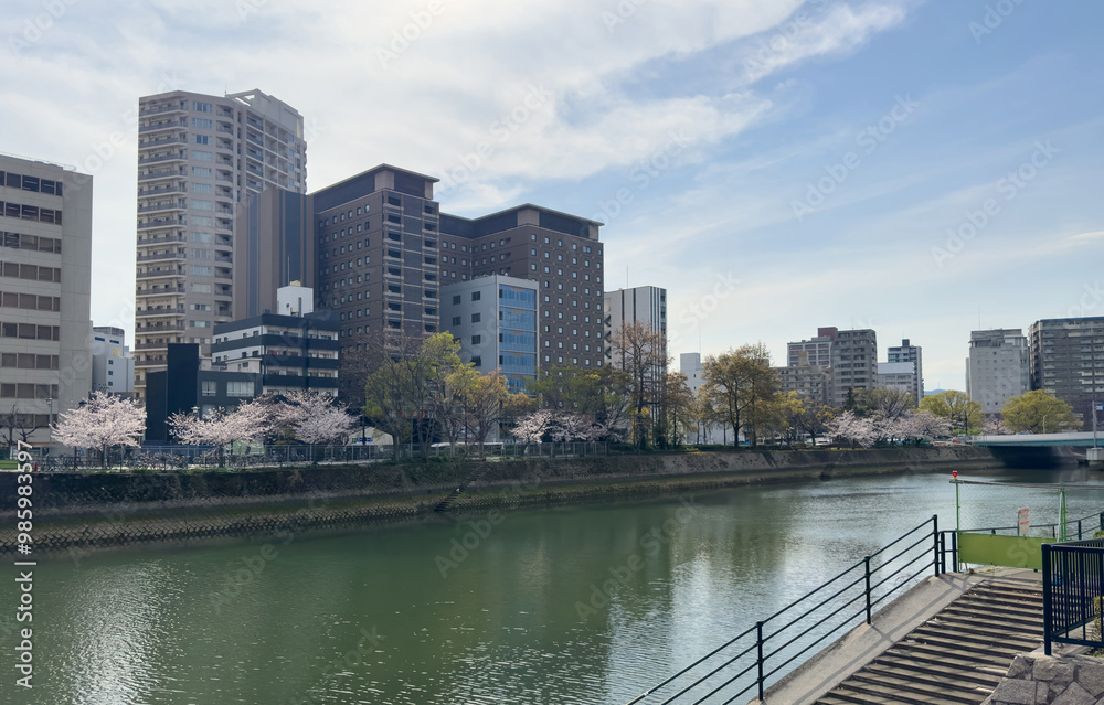 Obraz premium Motoyasu river in spring, blooming cherry trees at riverside. Hiroshima Peace memorial park