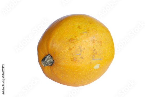Yellow Spaghetti squash fresh without background. High contrast pumpkin. photo