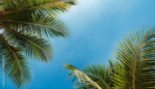 Wallpaper Mural Palm leaves on a baby blue background Torontodigital.ca