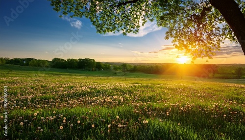 Wallpaper Mural Sunset view from under a tree on a green flower meadow Torontodigital.ca