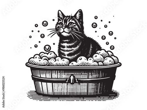 Cute tabby cat having a bath. vintage black engraving illustration, emblem, print