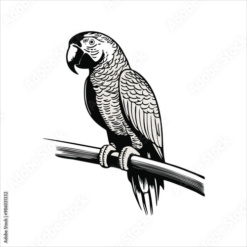 macaw bird mascot illustration logo concept design