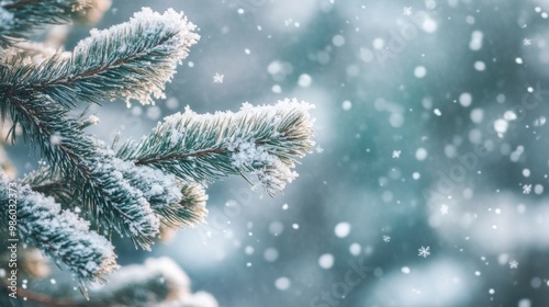 Close-up of snowflakes delicately settling on a pine tree branch, with a blurred snowy background capturing the essence of a tranquil snowfall.