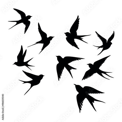 a group of nine birds flying in a random pattern. The birds are black and are silhouetted against a white background