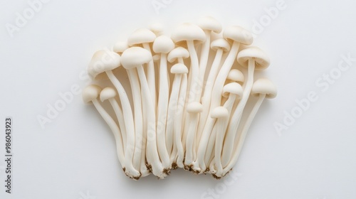 A cluster of white mushrooms with long stems and small caps. photo