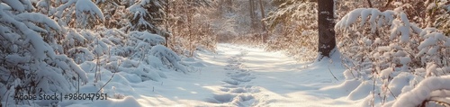 A tranquil winter pathway covered in fresh snow, lined by frosted trees, inviting exploration and serene experiences.