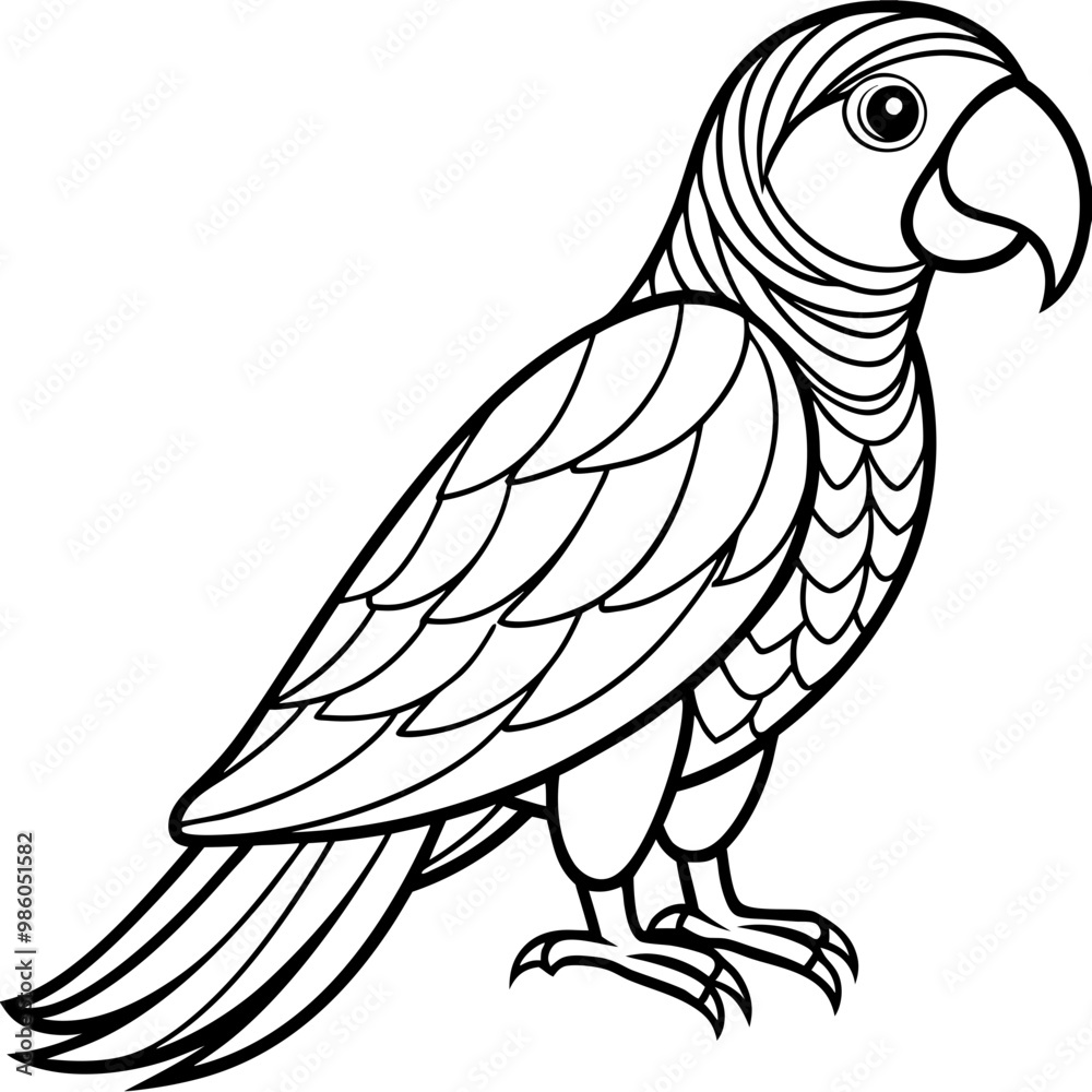 Fototapeta premium Colorful Parrot Elegant Black Line Art with Curved Feathers