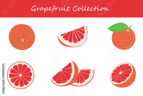 grapefruit collection in different poses. Vector illustration.