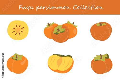 fuyu persimmon collection in different poses. Vector illustration.