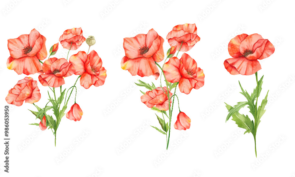 Obraz premium Poppy Flowers Watercolor Illustration. Poppy Bouquets. Botanical Watercolor. Wildflower Bouquets Hand Painted isolated on white background.&nbsp; Perfect for Wildflowers wedding invitations, bridal shower 