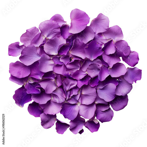 Vibrant purple flower petals create stunning floral arrangement