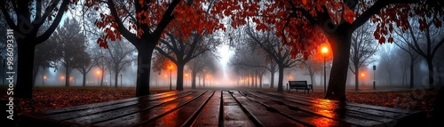 Serene Foggy Park with Vibrant Autumn Leaves