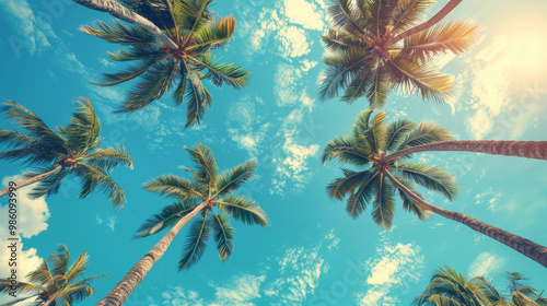 Beneath palm trees, vibrant blue sky creates serene atmosphere