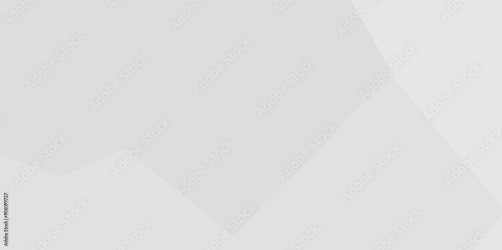White low poly background texture. Abstract Low Poly White Background, abstract geometric background, Black and white abstract background of triangles low poly. black and white abstract low poly backg White low poly background texture. Abstract Low Poly White Background, abstract geometric background, Black and white abstract background of triangles low poly. black and white abstract low poly backg