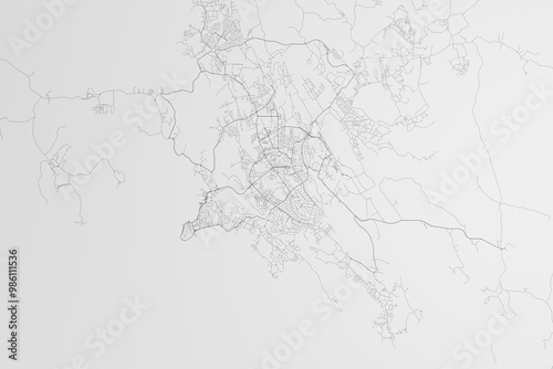 Map of the streets of Port Moresby (Papua) on white background. 3d render, illustration photo