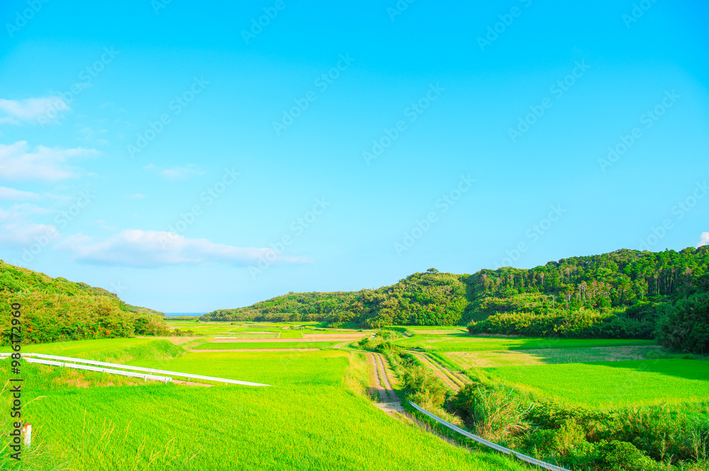 Fototapeta premium 鹿児島 種子島の風景