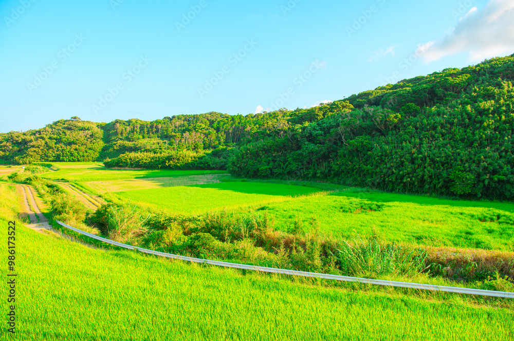 Obraz premium 鹿児島 種子島の風景