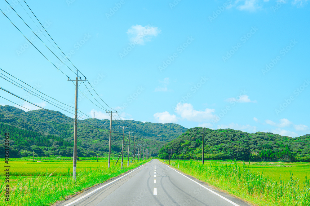 Fototapeta premium 鹿児島 種子島の風景