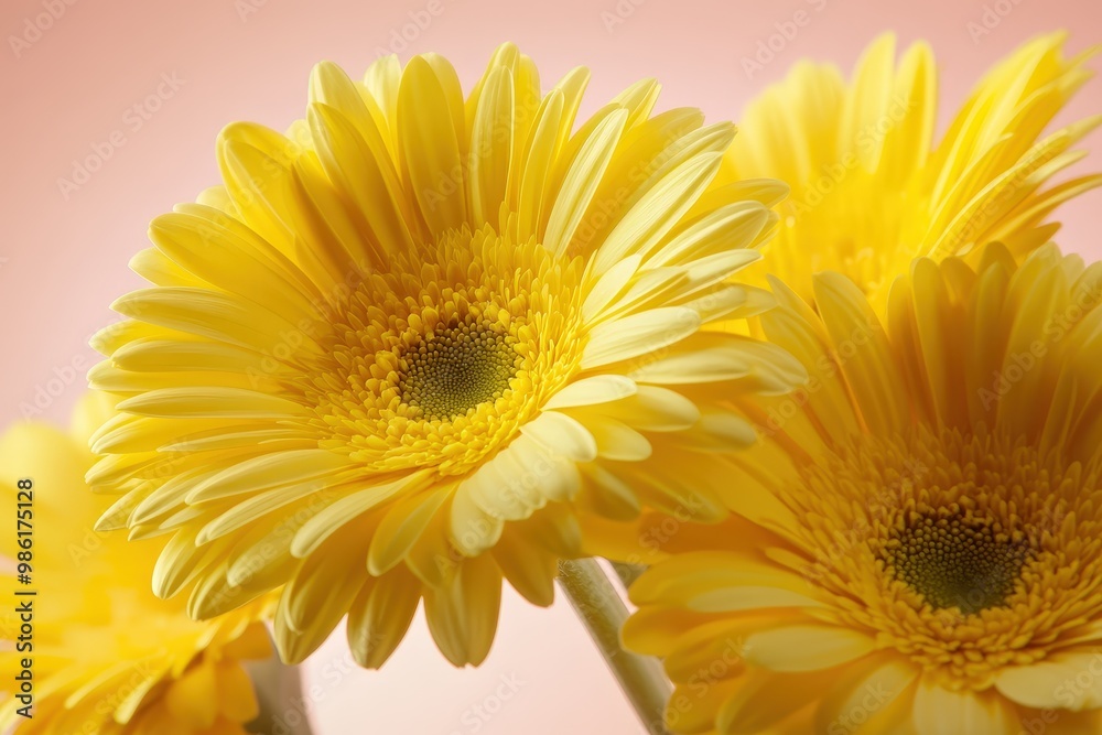 Close-up of Daffodils growing in a park, Frederikshavn, Jutland, Denmark. Beautiful simple AI generated image Close-up of Daffodils growing in a park, Frederikshavn, Jutland, Denmark. Beautiful simple AI generated image