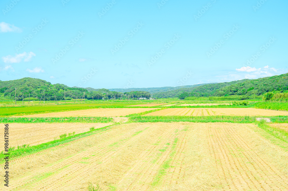 Obraz premium 鹿児島 種子島の風景