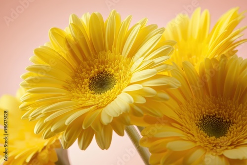 Close-up of Daffodils growing in a park, Frederikshavn, Jutland, Denmark. Beautiful simple AI generated image